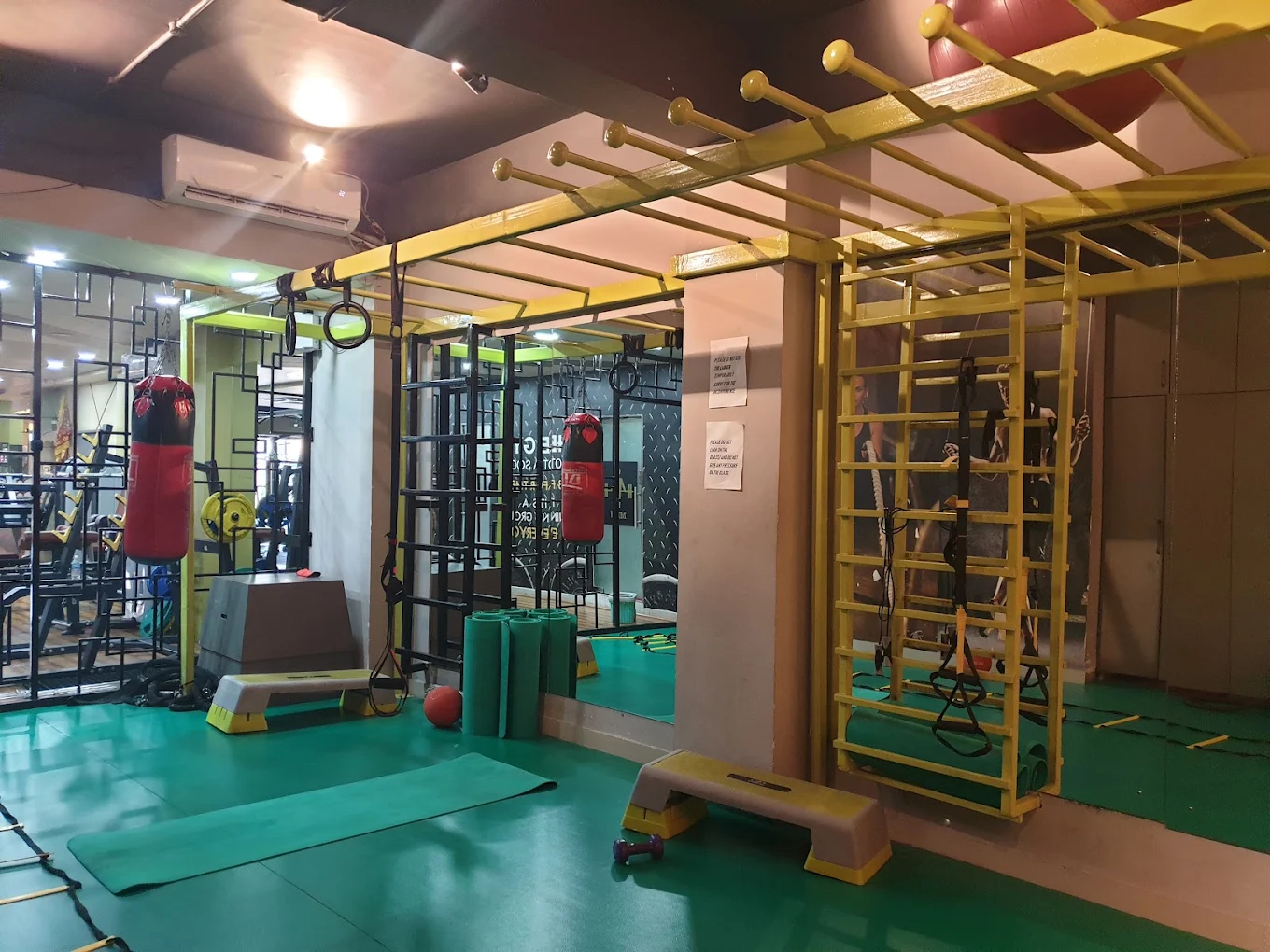 Gymaholic training area